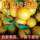 锦蜜冰糖橙 正宗湖南麻阳农家自种 纯甜