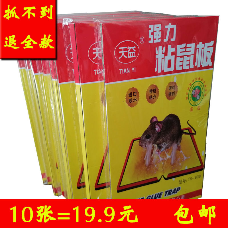 粘鼠板强力胶水家用工厂仓库酒店灭鼠大小老鼠老鼠克星粘老鼠贴,居家日用,灭鼠笼/捕鼠器,淘宝优惠券,粉丝福利购,淘宝优惠卷