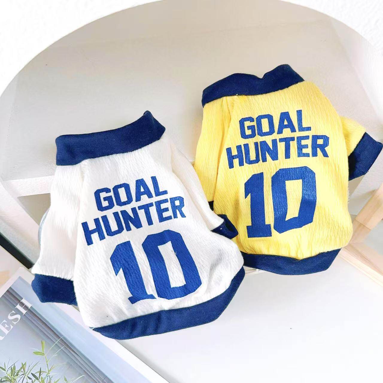 狗狗春款运动T恤泰迪比熊小型犬宠物猫咪春夏天薄款透气两脚球衣