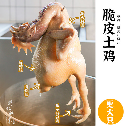 精致潮菜谷饲土鸡皮脆肉香骨硬走地鸡 熟肉 潮汕优选土鸡顺丰航空 - 封面