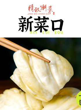 精致潮菜 新腌制潮汕小菜咸菜口腌菜酸咸菜爽脆爽口 非一般品质