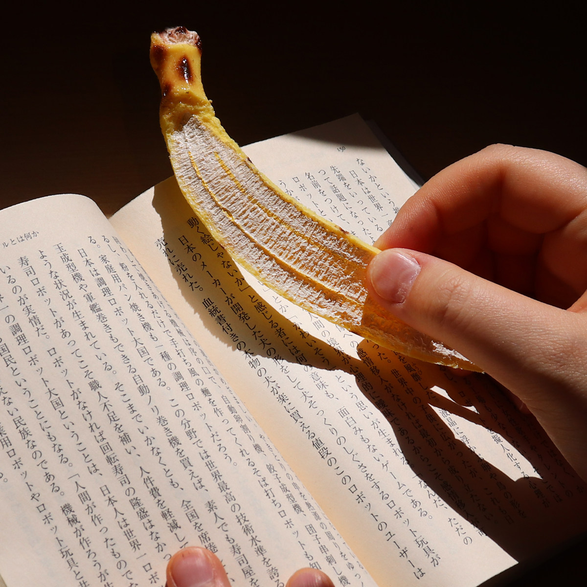 包拼邮日本代购手作仿真食玩模型三文鱼培根创意个性标记书本书签