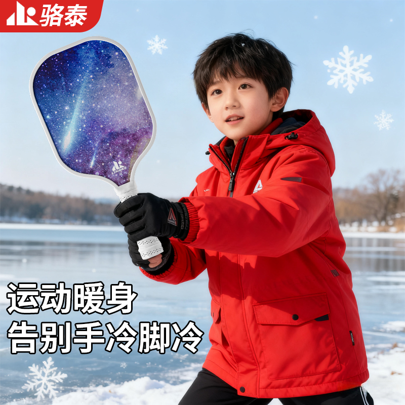 匹克球板球拍套装初学者木质新款