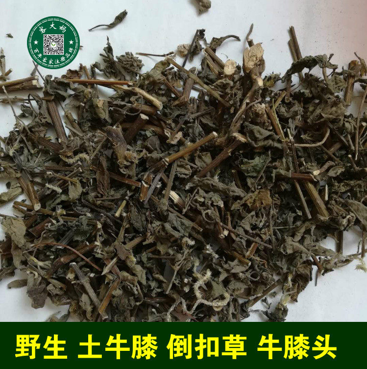 土牛膝 牛膝头 倒扣草 紫牛膝牛膝头 全草 500g 包邮