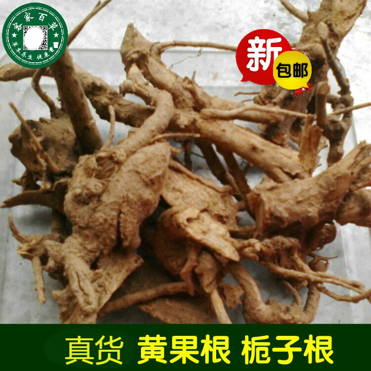 新货山栀根 山栀子根 黄栀子根 黄枝子根 黄果根 黄栀根 山枝根