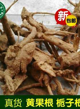 新货山栀根 山栀子根 黄栀子根 黄枝子根 黄果根 黄栀根 山枝根