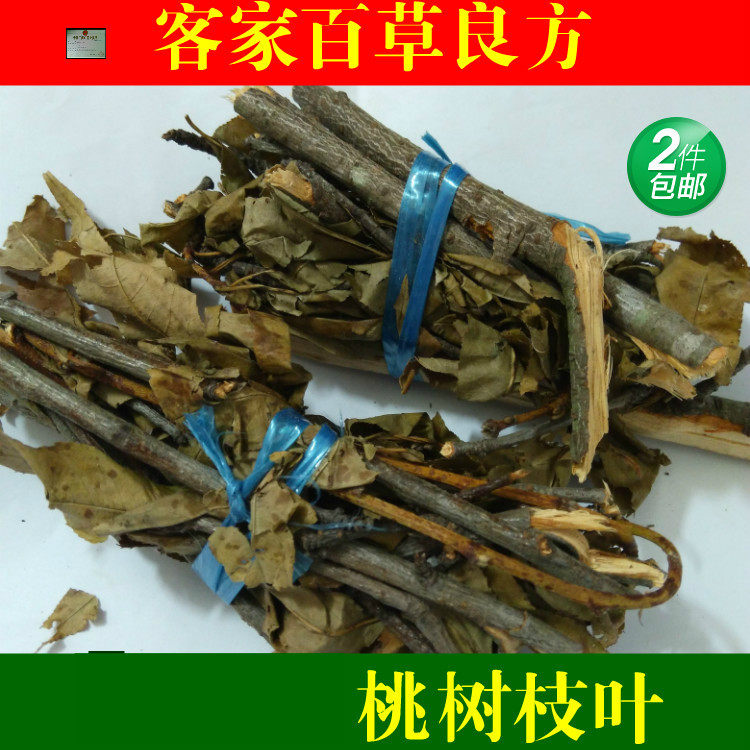 桃树叶 桃树枝 桃叶  枝叶500g 拍2件包邮