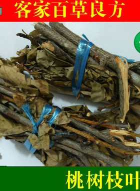 桃树叶 桃树枝 桃叶  枝叶500g 拍2件包邮