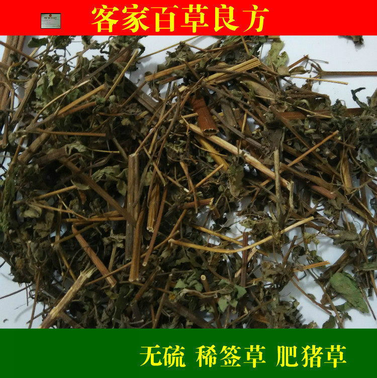 客家 野生中药材 豨签草 稀莶草 稀签草 豨莶草 500g 新货 包邮