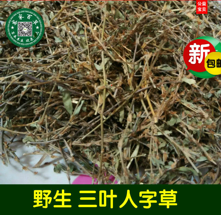 鸡眼草 三叶人字草 人字草 铺地锦 掐不齐 老鸦须500g2件包邮