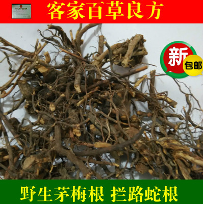茅梅根茅莓根红梅消三月泡根小叶 蛇泡筋 拦路蛇 500克包邮