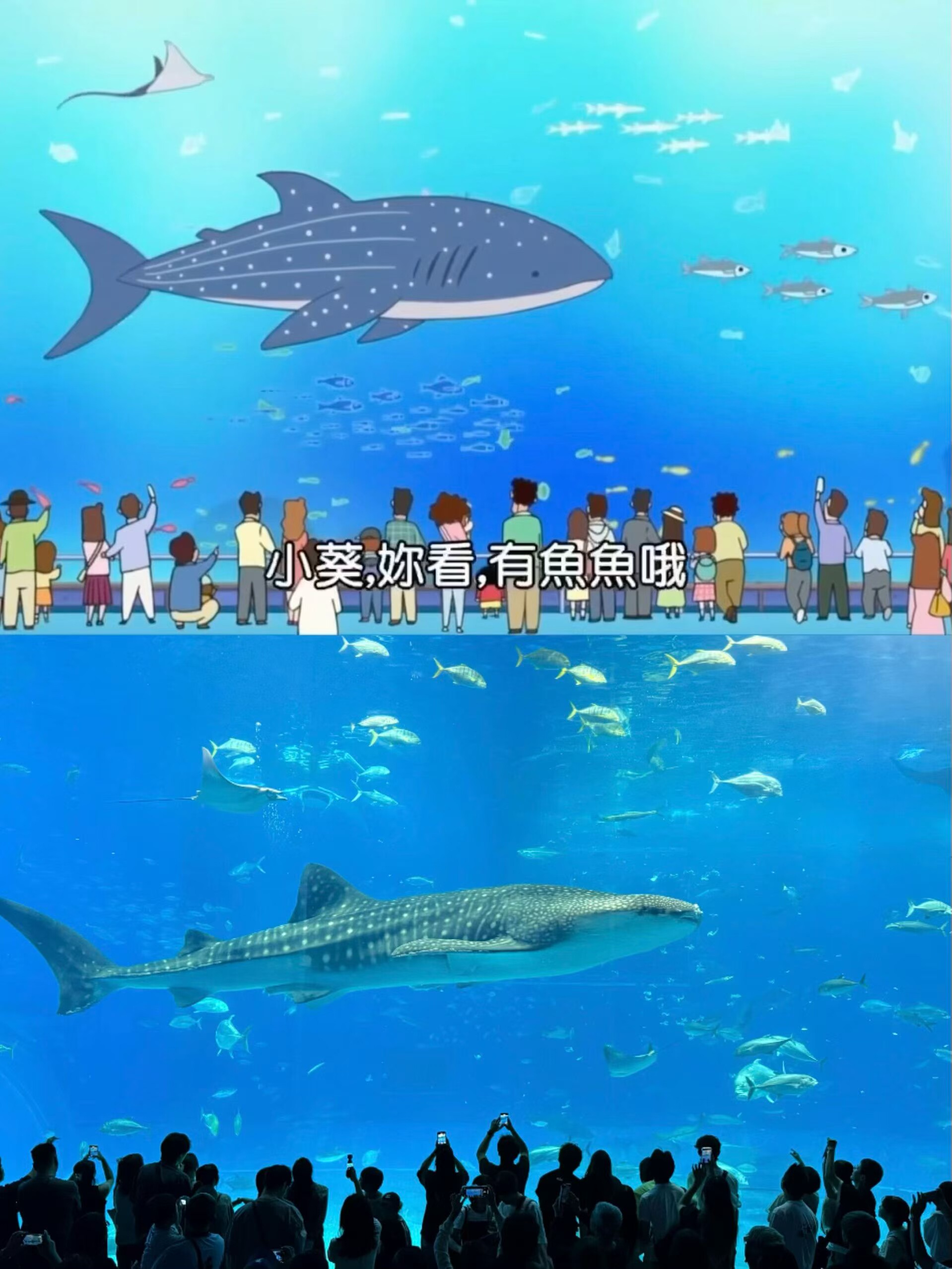 冲绳租车本地公司旅游用车定制