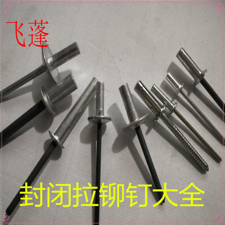 包邮厂家圆头封闭闭口防水拉铆钉抽芯铆钉铝铆钉拉柳钉
