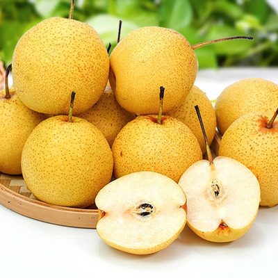 东北特产大白梨白梨脆甜多汁润嗓子新鲜水果自产自销可做代发