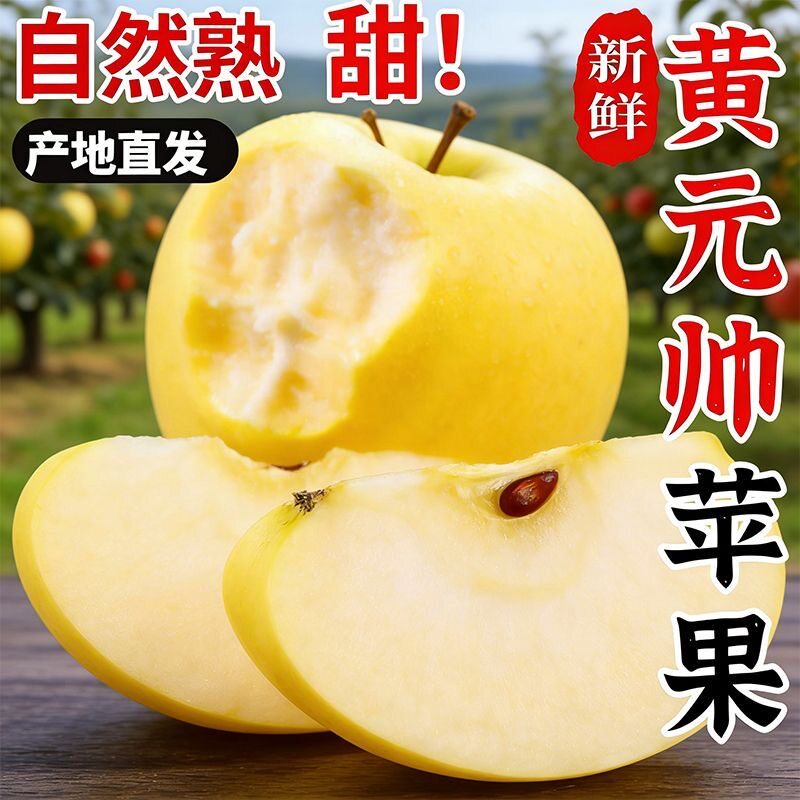 正宗黄元帅黄金帅黄香蕉苹果保纯宝宝刮泥孕妇老人小孩自产自销