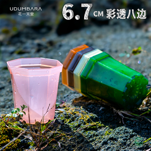 花一天堂彩色半透明多肉塑料八边花盆加厚6.7小口径播种育苗扦插