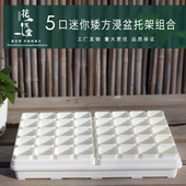 加厚矮5口多肉花盆小口径塑料育苗浸水托盘架种植精控省土易整理