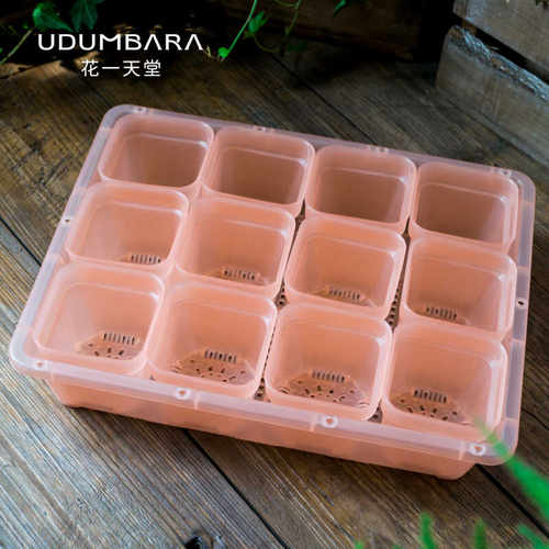 花一天堂透粉盆整理筐盘