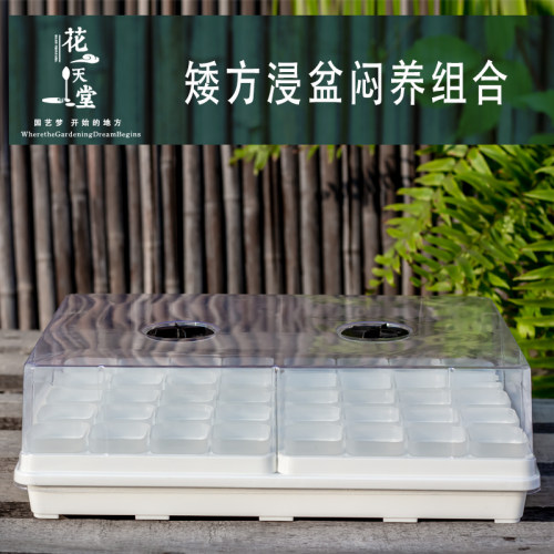 特厚多肉矮方盆浸水盘整理组合