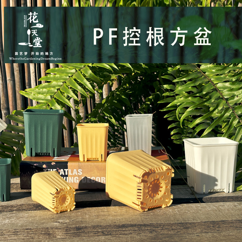 多肉花盆塑料控根矮方盆花卉绿植肉肉播种育苗种植盆幼儿园活动盆,鲜花速递/花卉仿真/绿植园艺,花盆,淘宝优惠券,粉丝福利购,淘宝优惠卷