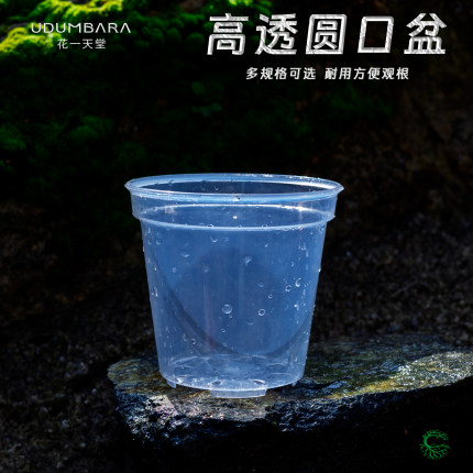 加厚蝴蝶兰专用花盆塑料多肉石斛兰花种植播种育苗高透明观根圆盆