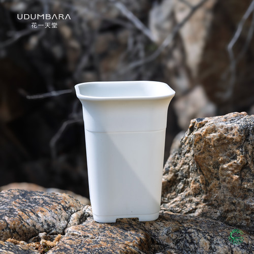 花一天堂加厚方形多肉万象块根盆