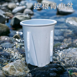 花一天堂青山控根盆蝴蝶兰秋海棠热植龟背竹加厚塑料高透气花盆
