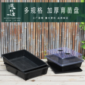 育苗盘加厚多规格带接水盘闷养罩多肉叶插播种盆整理筐盘果蔬育苗