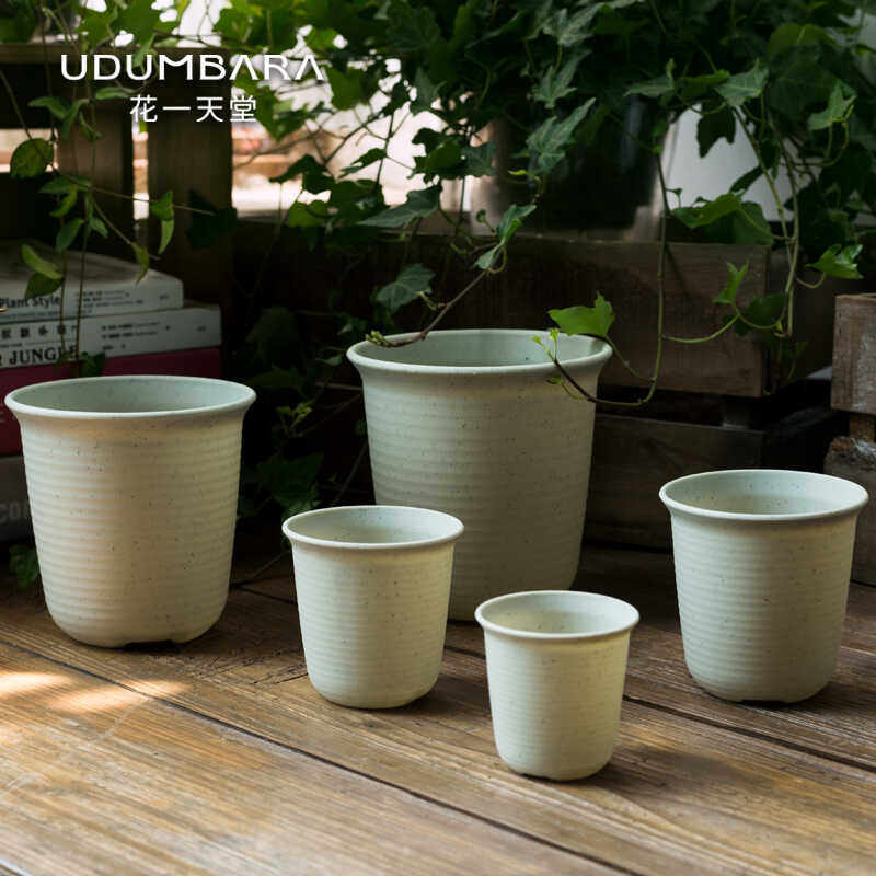 多规格加深塑料花盆多肉球根