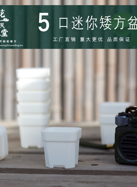 5口径特厚迷你多肉塑料方盆育苗种植阳台党精控肉肉花盆透气美观