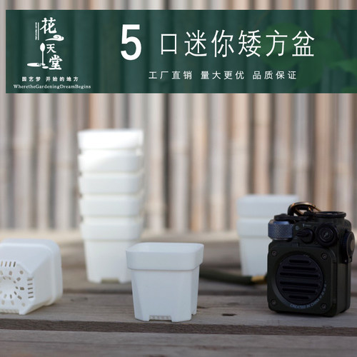 5口径特厚多肉塑料矮方盆