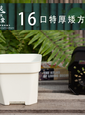 特厚矮多肉塑料花盆大口径景天橙子群生仙人球块根龙舌兰方口白盆