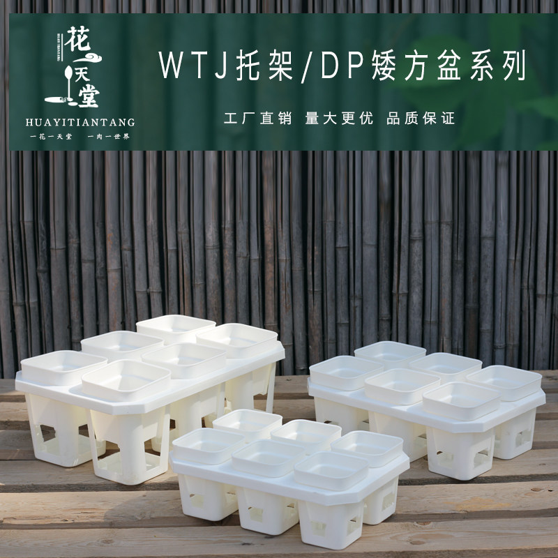 多肉矮方盆6格托架组合系列图片