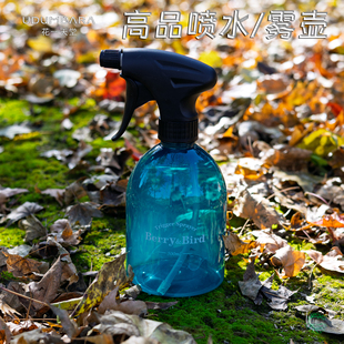 Berry&Bird园艺森林多肉专用小号喷壶气压式 浇水家用消毒打药工具