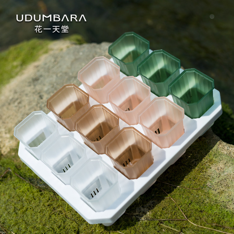 花一天堂4.8口径迷你半透彩方多肉花盆12格托架组合育苗播种植盆,鲜花速递/花卉仿真/绿植园艺,花盆,淘宝优惠券,粉丝福利购,淘宝优惠卷