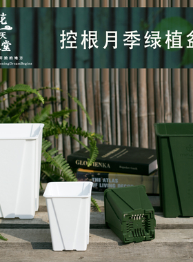 控根多肉花盆塑料方口月季热绿植海芋花烛蔓绿绒蝴蝶兰花块根花盆