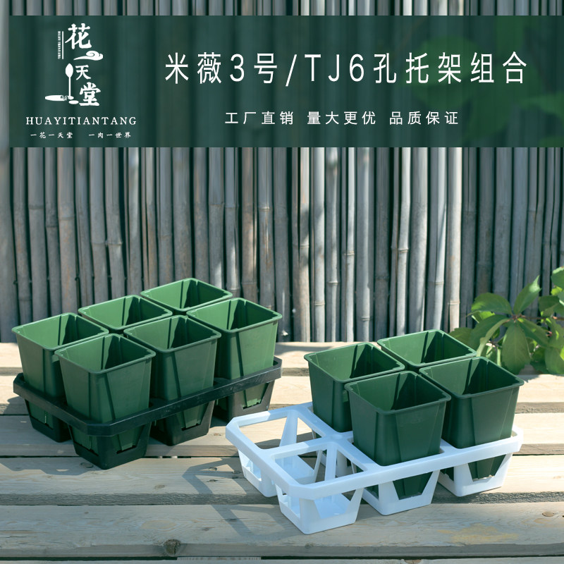 新品6格蓄水托架控根盆组合 多肉花盆整理架景天玉露仙人球盆组合,鲜花速递/花卉仿真/绿植园艺,花盆,淘宝优惠券,粉丝福利购,淘宝优惠卷