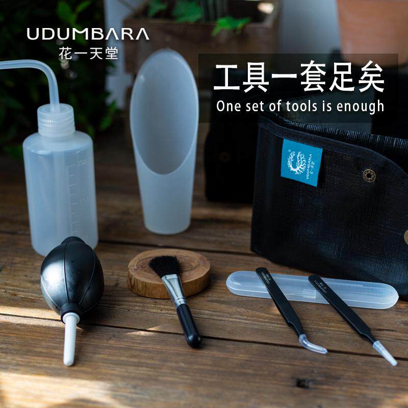 花一天堂花卉绿植盆栽多肉园艺种植工具套装刷镊子铲壶地垫清洁吹