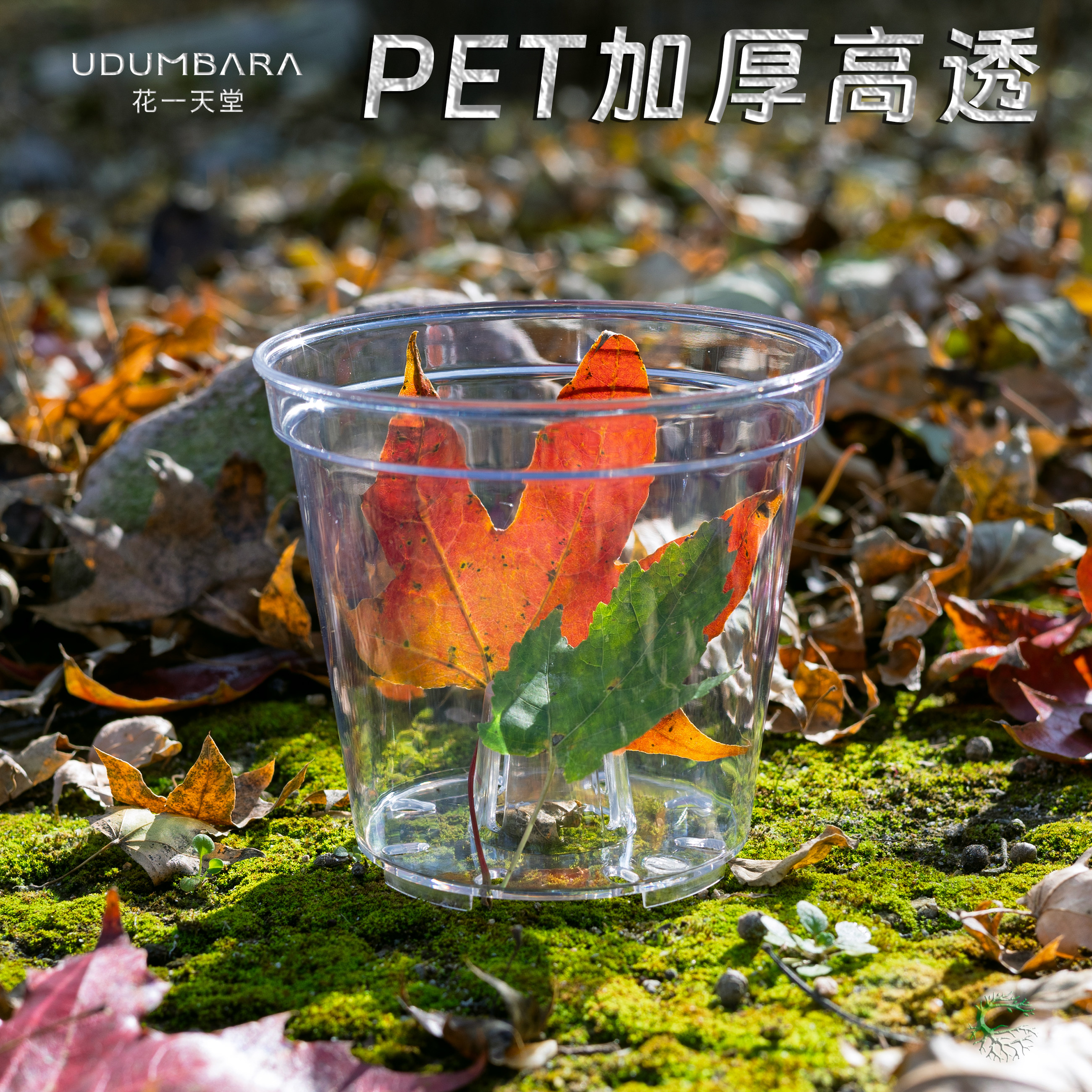 PET高透加厚圆口蝴蝶兰角堇花盆热植花卉盆栽办公桌多肉块球根盆,鲜花速递/花卉仿真/绿植园艺,花盆,淘宝优惠券,粉丝福利购,淘宝优惠卷