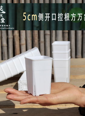 5cm加厚侧开口控根方多肉万象盆玉露景天肉锥生石花播种育苗花盆