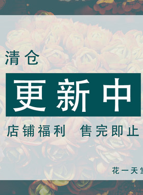 花一天堂特价清仓处理区