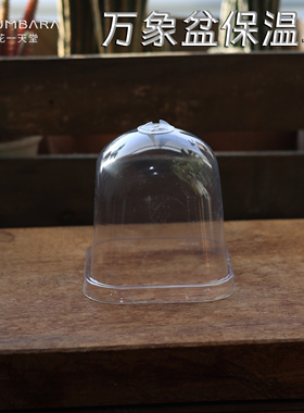 多肉植物方口万象盆闷养罩子保温盖育苗保湿盖