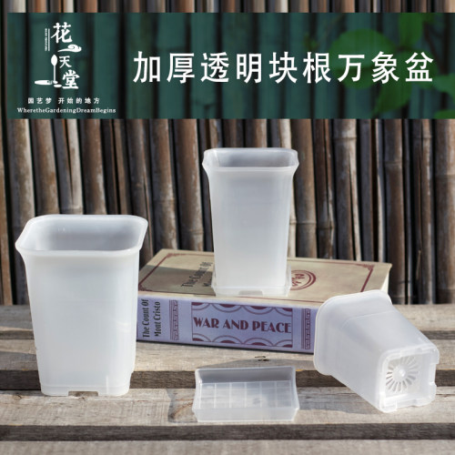 透明加厚塑料多肉花盆块根龙舌兰