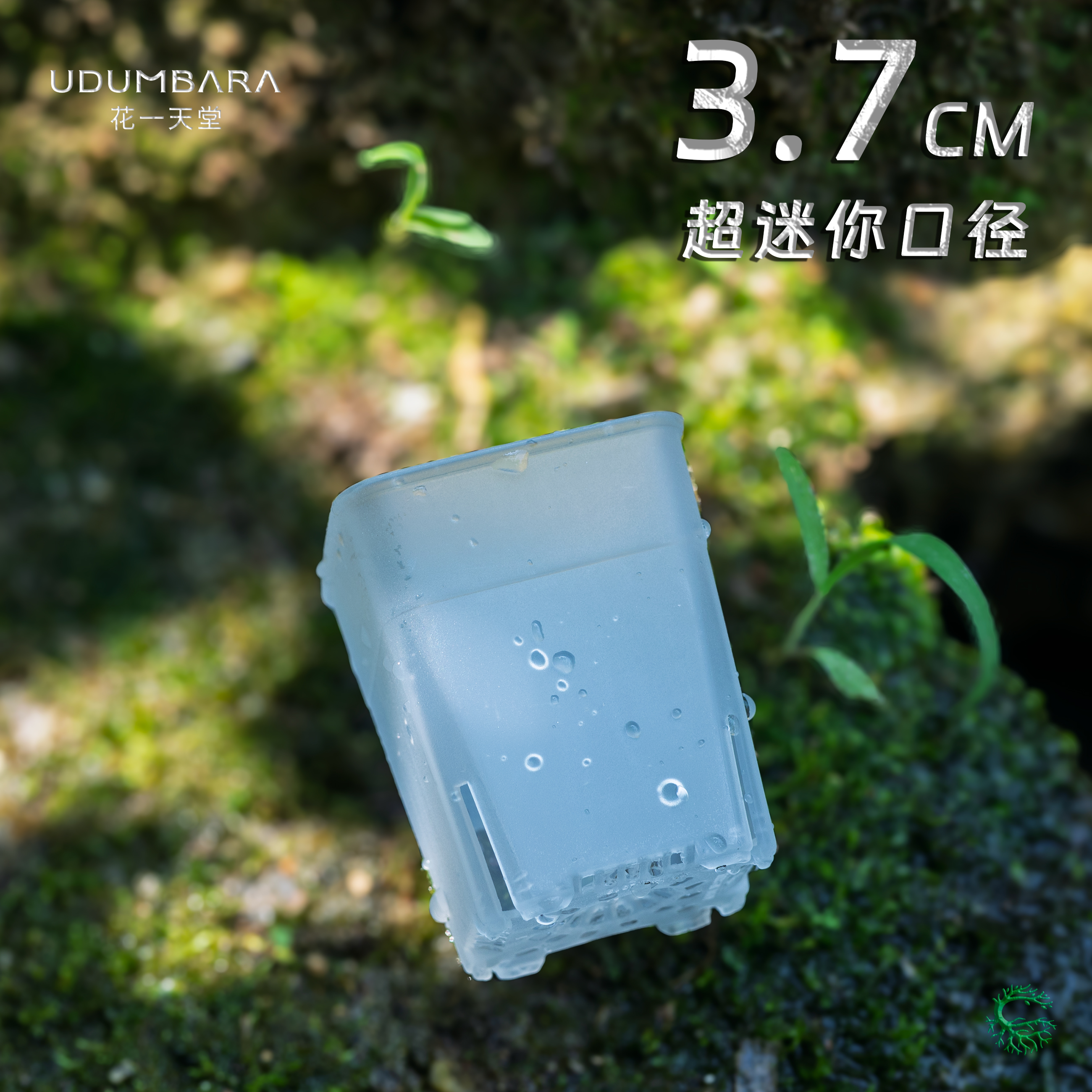 花一天堂迷你3.7口径拇指花盆