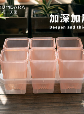 花一天堂10cm加深盆6格托架组合