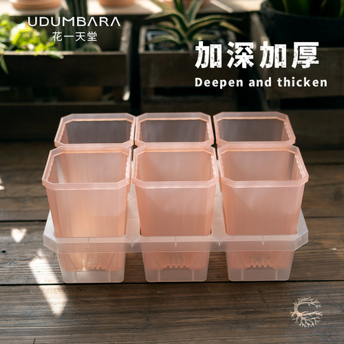 花一天堂10cm加深盆6格托架组合