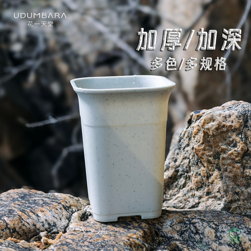 花一天堂加厚多肉万象盆