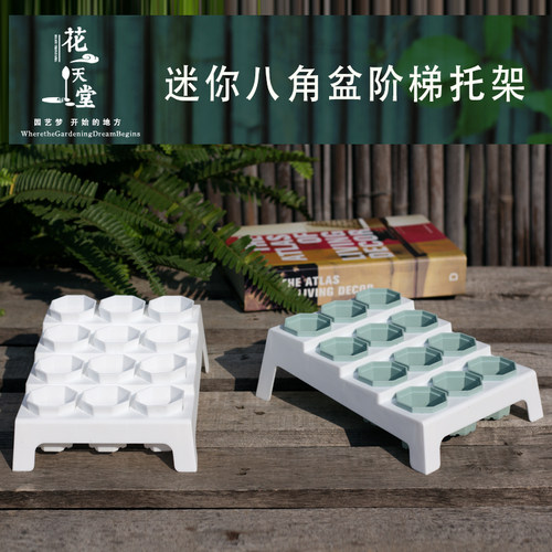 迷你八角多肉花盆整理阶梯托架
