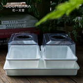 多肉育苗盆筐整理盘闷养箱生石花肉锥切糕叶插盘阳台种菜育播种盒