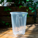 高透明青山控根盆水苔蝴蝶兰花专用观根花盆塑料热绿植盆大号家用